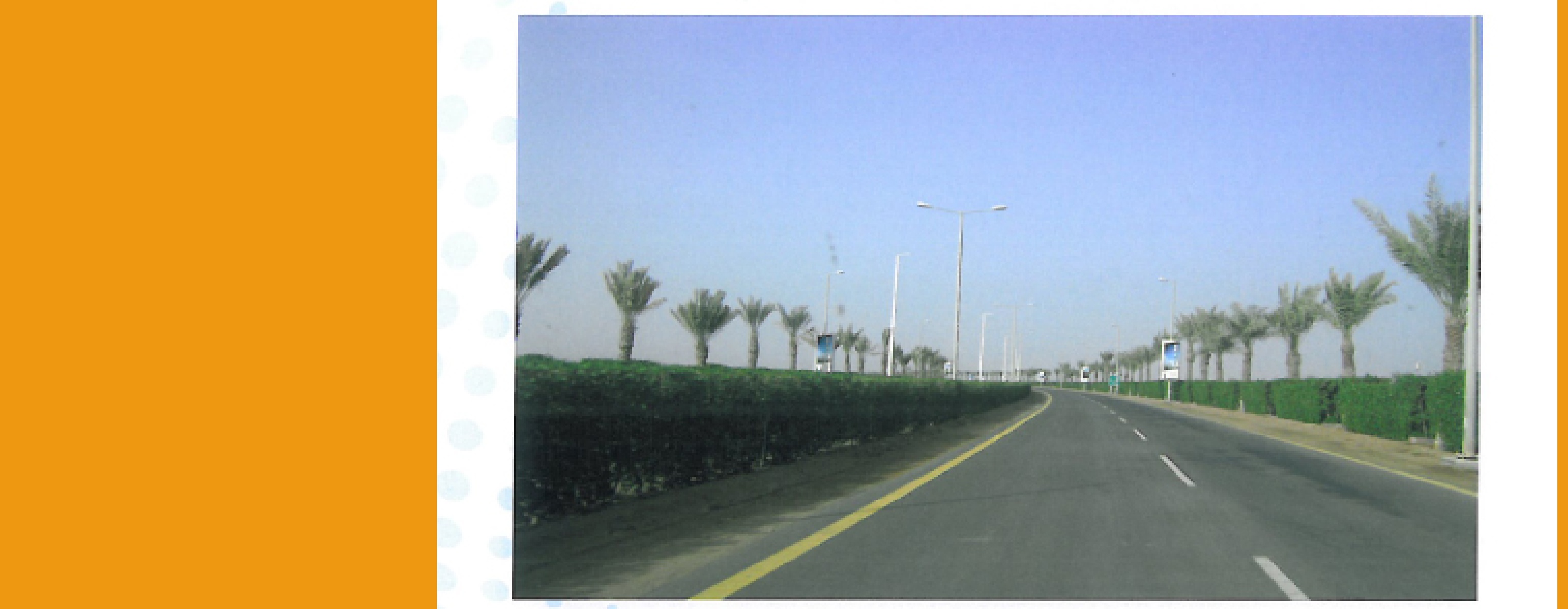 KAEC Landscaped Highway Avenue and Underground Utilities